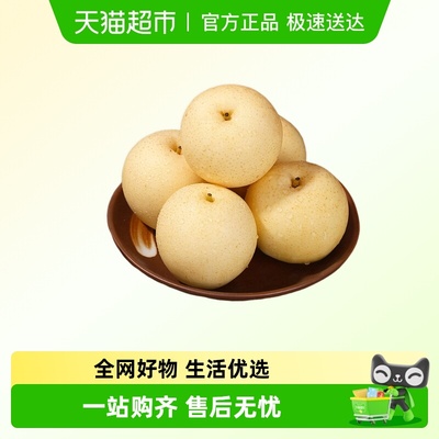 皇冠梨新鲜梨子水果脆甜雪梨