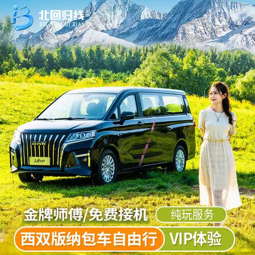 云南西双版纳包车普洱包车-中科植物园/野象谷/太阳河森林公园