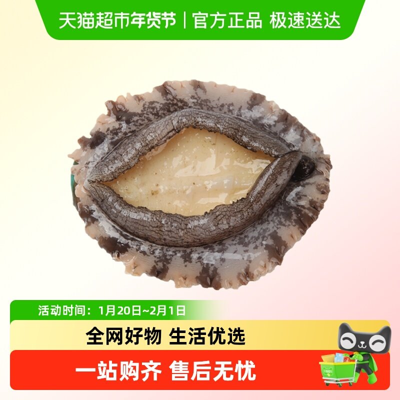 鲜活鲍鱼20-25g/只,水产肉类/新鲜蔬果/熟食,鲍鱼,淘宝优惠券,粉丝福利购,淘宝优惠卷