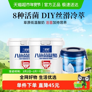 兰格格草原酸奶八旗菌凝酪760g*2桶+乳清过滤器*1内蒙干噎酸奶