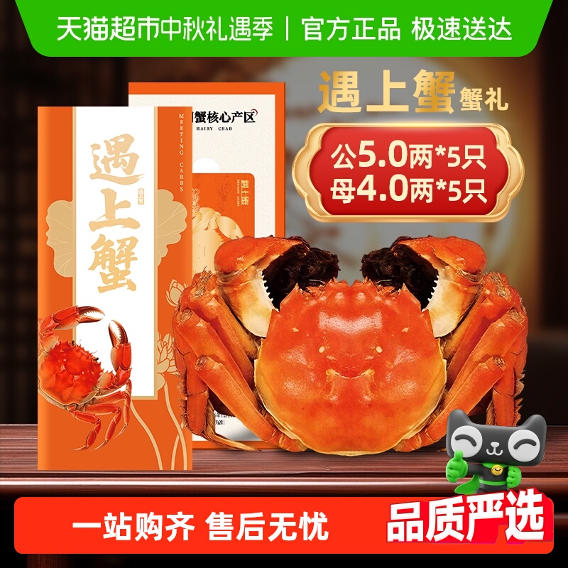 зբзȯзƷзȯ6888