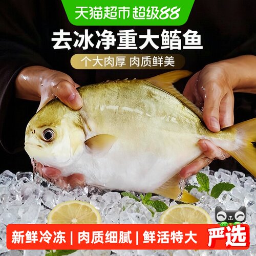 金鲳鱼刺少肉多新鲜冷冻