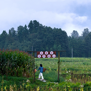 腾冲界头线乡村一日游【手抄纸+荒野厨房+野温泉+古桥+漂流】