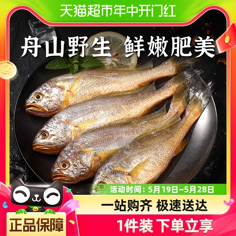 遇上鲜舟山小黄鱼500g×1包