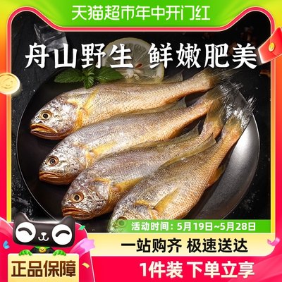 遇上鲜舟山小黄鱼500g×1包