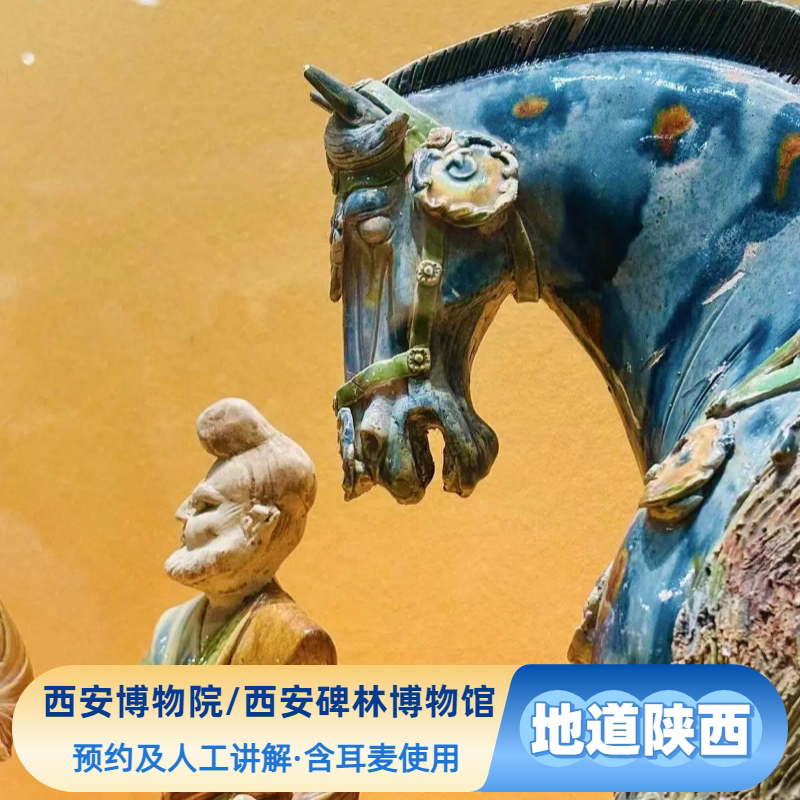 西安一日游散拼团·西安博物院/碑林博物馆代约票+耳机+人工讲解
