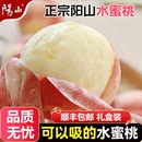 包邮 正宗无锡阳山水蜜桃礼盒顺丰 皮薄肉厚爆汁香甜
