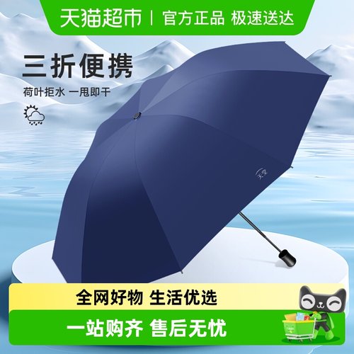 天堂伞加大加厚加固双人雨伞