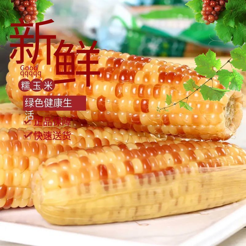 西双版纳香糯小玉米5斤新鲜花糯甜糯拇指玉米棒真空开袋即食早餐