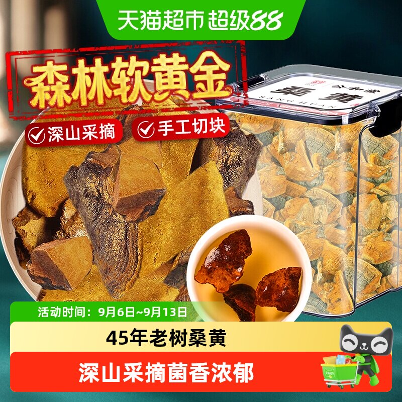 桑黄特选正宗中草药材级西藏野外生45年搭长白山灵芝片打粉泡水喝