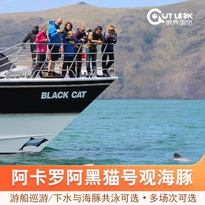 新西兰旅游 基督城阿卡罗阿黑猫号游船观海豚与海豚共泳Black Cat