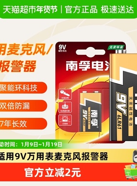南孚9V干电池碱性6LR61方块大电池耐用适用烟雾报警麦克风万用表