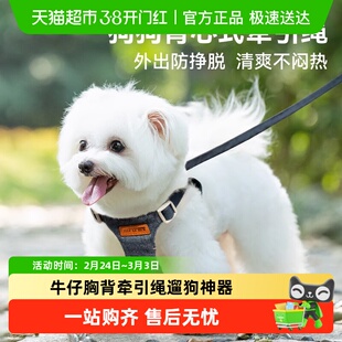 小狗狗背心式牵引绳小型犬宠物背带遛狗神器专用比熊泰迪外出