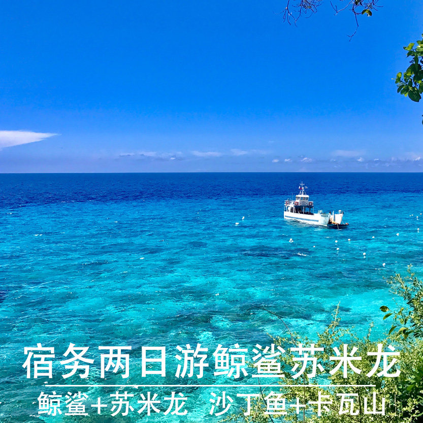 菲律宾宿务两日游oslob鲸鲨+苏米龙 墨宝沙丁鱼+卡瓦山 kawasan