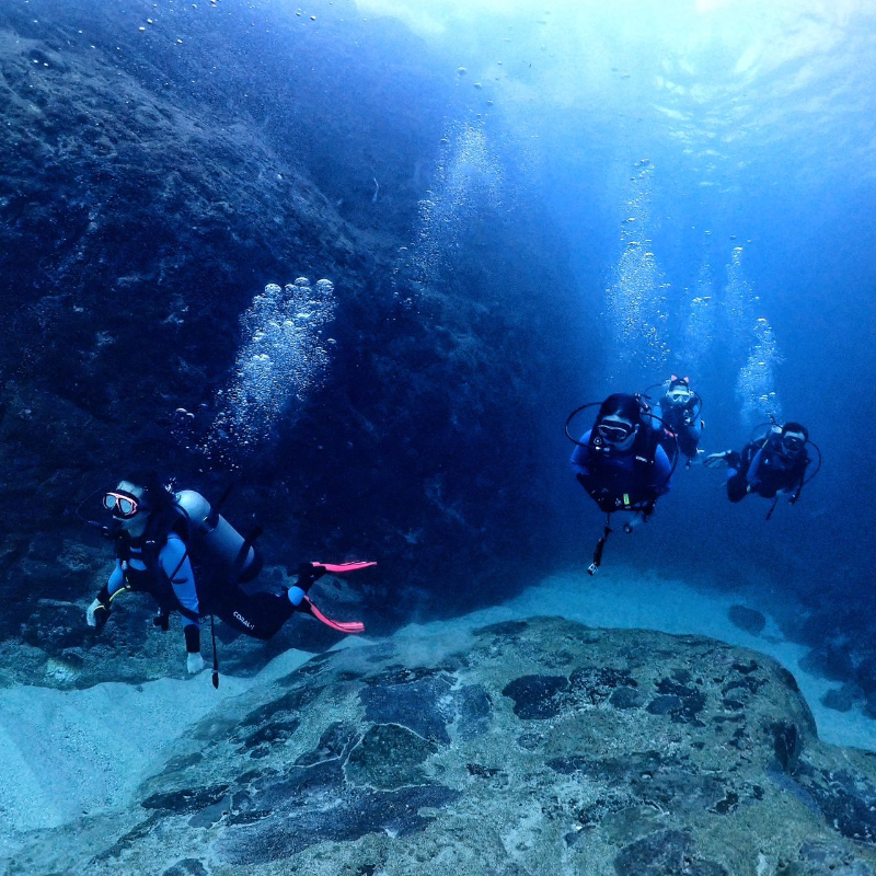 专业教练带潜，每一位教练都是PADI认证，为您潜水行程保驾护航 PADI五星潜水中心，三亚优质水肺潜点双帆石+分界洲 双帆石国内的潜水圣地，被誉为北纬18度的海上圣景