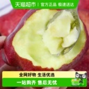 现摘甘肃天水花牛苹果新鲜水果整箱丑糖心当季 红蛇粉面孕妇刮泥果