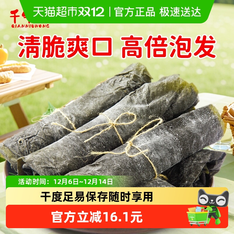 千牛农霞浦海带干海带中段