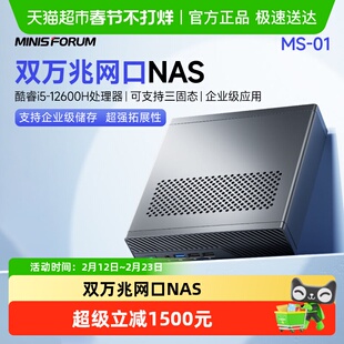 铭凡MINIS FORUM MS-01 酷睿i5-12600H双万兆网口NAS迷你主机电脑