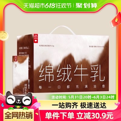 乐纯绵绒牛乳黑巧风味200ml×10盒