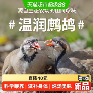 温润鹧鸪520g两只装七夕礼品