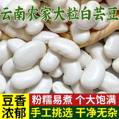 白芸豆500g新货大芸豆新鲜云豆大白豆雪豆大豆豆子五谷杂粮红芸豆