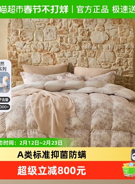 水星家纺羽绒冬被A类抑菌阻螨保暖被子家用高端被芯秋冬保暖床品