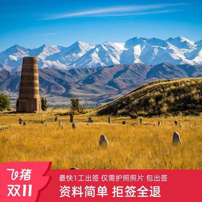 吉尔吉斯斯坦签证中亚五国签证电子旅游签证商务电子签证极简材料加急出签催签