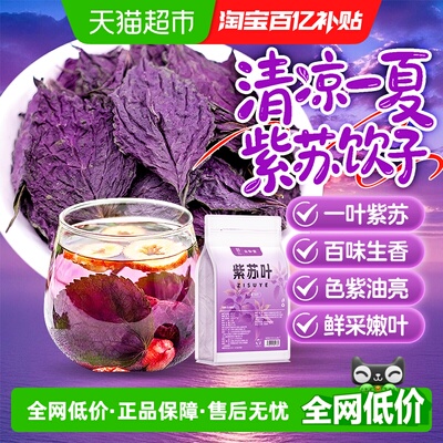 甄选紫苏叶大片新货晒干香味浓郁