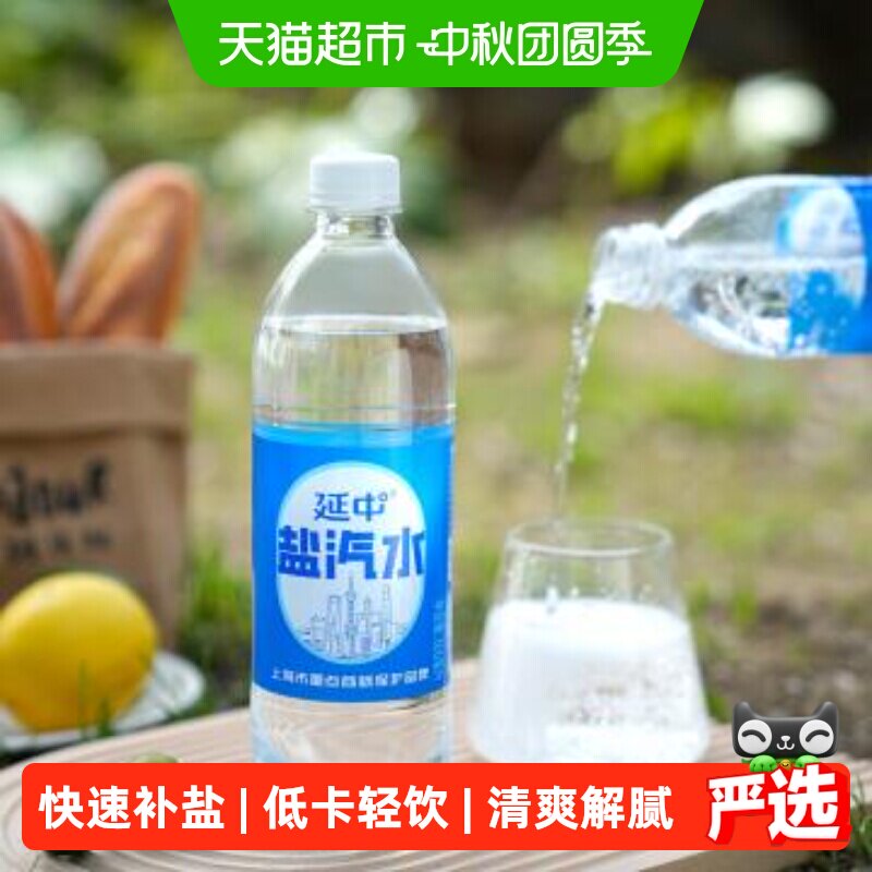 延中老字号盐汽水祛暑600ml*20瓶