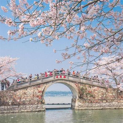 杭州+苏州+无锡4天3晚跟团游/西湖/飞来峰/拙政园/灵山/鼋头渚