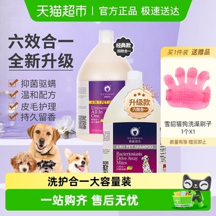 雪貂留香波六合一抑菌驱螨宠物狗狗沐浴露除臭大桶装 洗澡用品大瓶