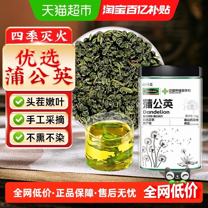 蒲公英茶叶去火痘痘茶无惧火气蒲公英根叶养生茶婆婆丁茶清火去热