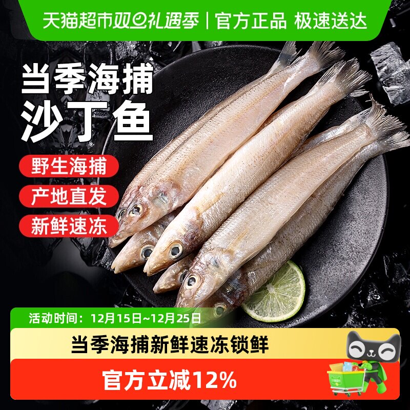 舟山大号沙丁鱼新鲜尖梭鱼深海捕鱼鲜活冷冻海鱼沙尖鱼海鲜水产