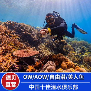 三亚德贝潜水OW潜水考证培训AOW课程自由潜水美人鱼蜈支洲岛潜水