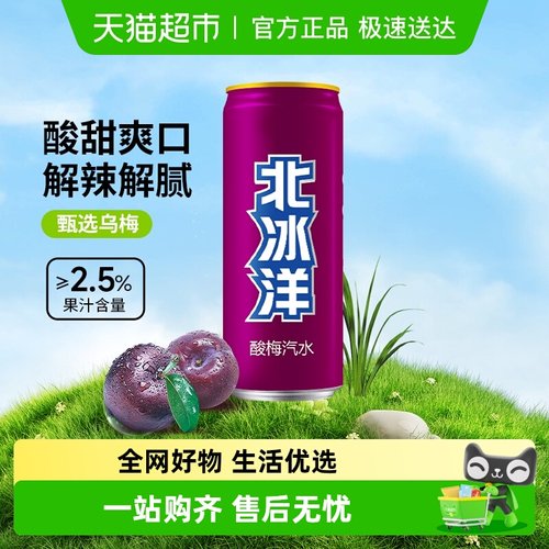 北冰洋酸梅汁碳酸饮料
