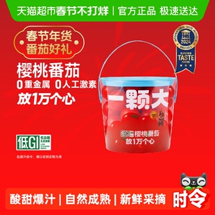 【一颗大】宝石樱桃番茄抱抱桶精品装酸甜爆汁下午茶水果