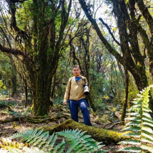 腾冲起止高黎贡山3公里轻徒步一日游【徒步+山野厨房烧烤+温泉】