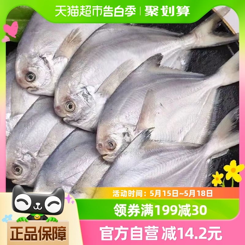 闽峡深海新鲜冷冻白鲳鱼1kg×1袋