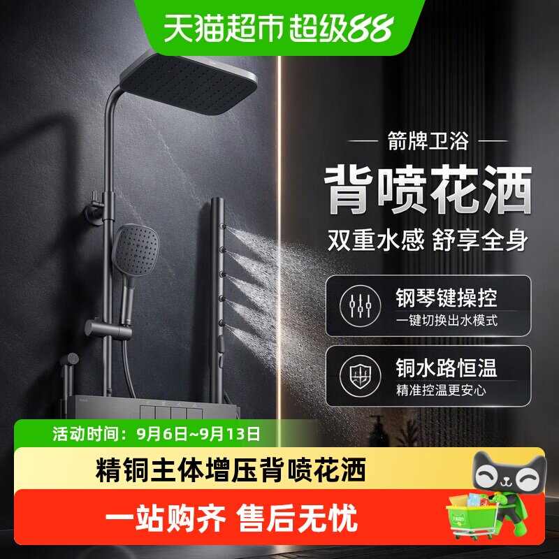 箭牌枪灰恒温活氧背喷花洒套装图片