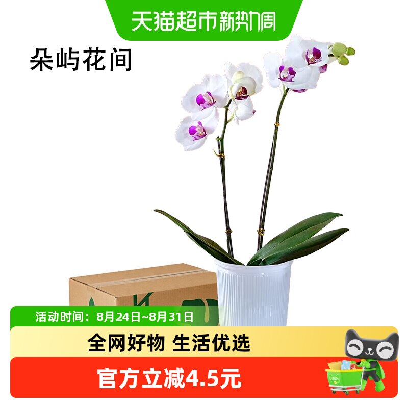 未知标题 - 86线报