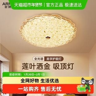 ARROW/箭牌卧室吸顶灯2026年新款中古风轻奢护眼创意莲叶房间灯具