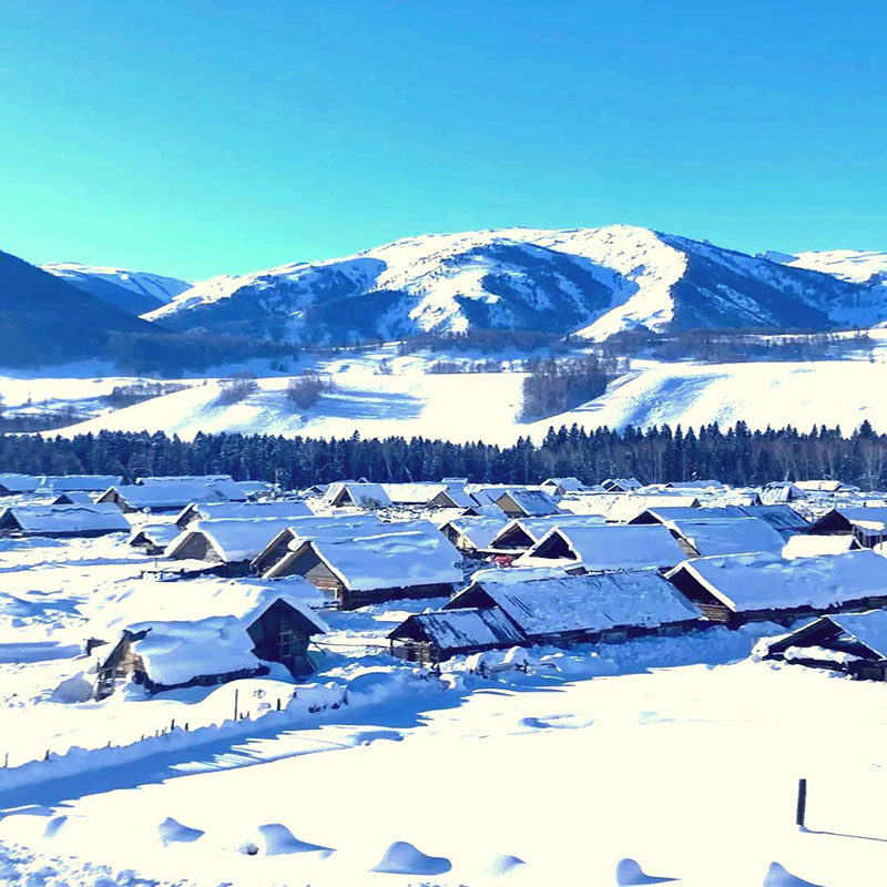 新疆旅游北疆喀纳斯禾木纯玩双卧4日跟团游无购物住1晚景区小团