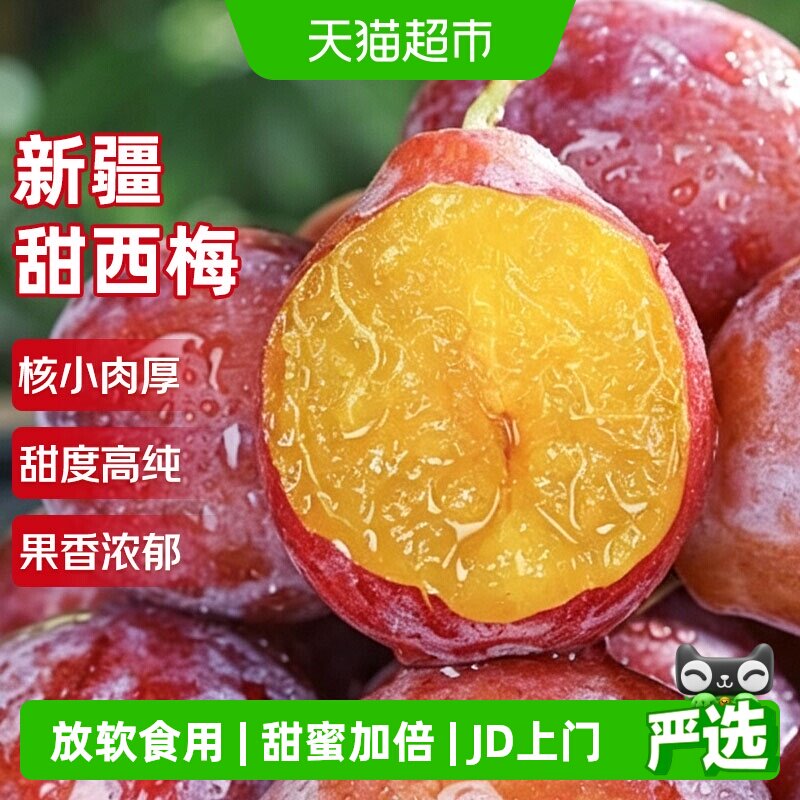 京运达新疆西梅