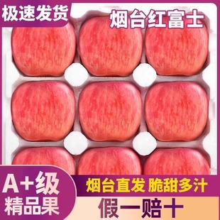正宗烟台红富士苹果栖霞脆甜冰糖心苹果整箱 新鲜水果 包邮