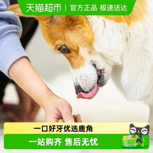 GiGwi贵为狗玩具鹿角幼犬耐咬咬胶柯基博美小型犬自嗨解闷磨牙棒
