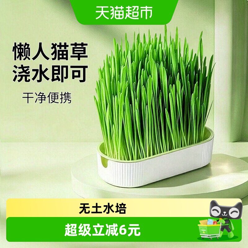 猫草盆栽种植无土水培盒懒人猫草种植子育苗盘猫咪促进助消化排毛