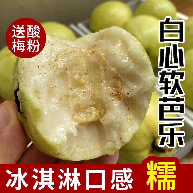 包邮广东5斤冰淇淋白心奶油软芭乐大果番石榴新鲜水果包邮