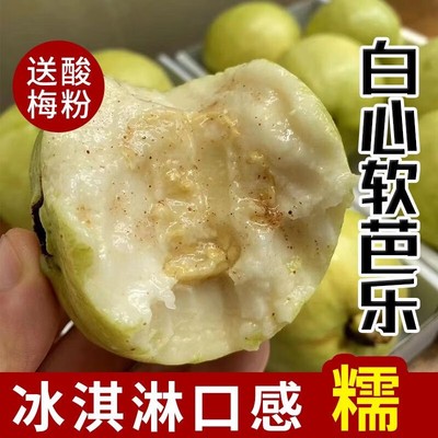 包邮广东5斤冰淇淋白心奶油软芭乐大果番石榴新鲜水果包邮