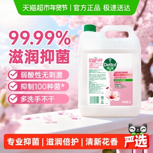 Dettol/滴露抑菌洗手液滋润倍护-超值家庭装多洗手不干