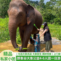 西雙版納野象谷大象公益 大象洗澡 雨林牧象 大象醫(yī)生精品小團(tuán)游